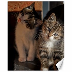 Cute Kitties Canvas 16  X 20   by trendistuff