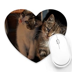 Cute Kitties Heart Mousepads by trendistuff