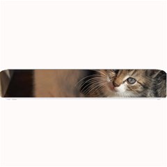 Cute Kitties Small Bar Mats