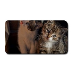 Cute Kitties Medium Bar Mats by trendistuff