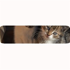 Cute Kitties Large Bar Mats