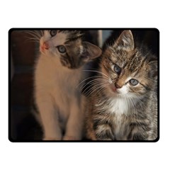 Cute Kitties Fleece Blanket (small)