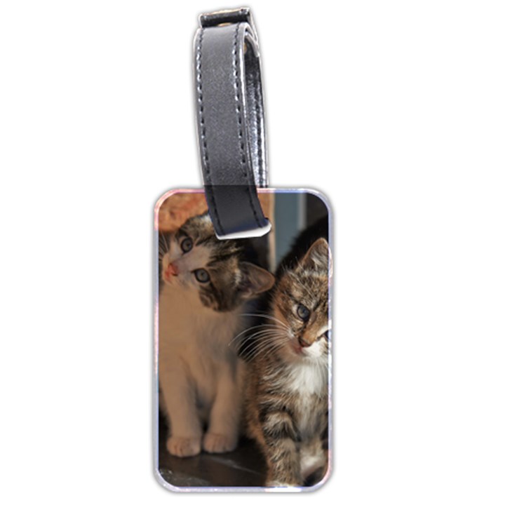 CUTE KITTIES Luggage Tags (Two Sides)