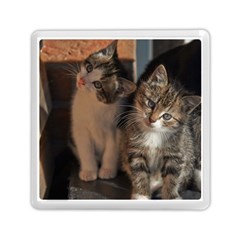 Cute Kitties Memory Card Reader (square) 