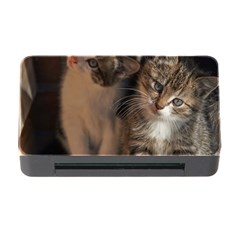 Cute Kitties Memory Card Reader With Cf