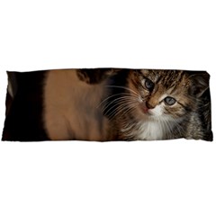 Cute Kitties Body Pillow Cases (dakimakura) 