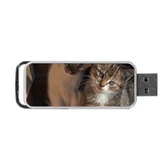 Cute Kitties Portable Usb Flash (two Sides)