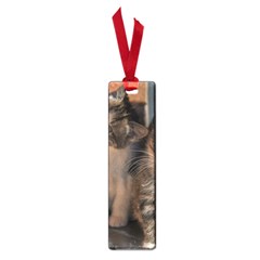 Cute Kitties Small Book Marks by trendistuff