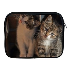 Cute Kitties Apple Ipad 2/3/4 Zipper Cases by trendistuff