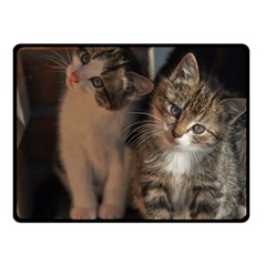 Cute Kitties Double Sided Fleece Blanket (small) 