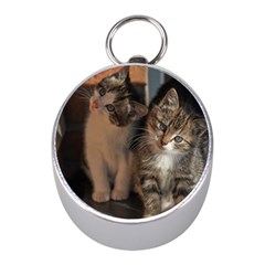 Cute Kitties Mini Silver Compasses