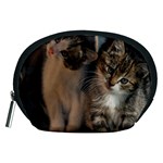 CUTE KITTIES Accessory Pouches (Medium)  Front