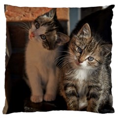 Cute Kitties Large Flano Cushion Cases (one Side) 