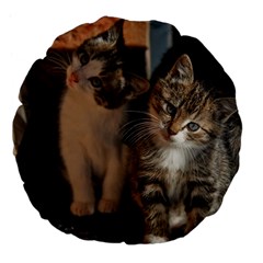 Cute Kitties Large 18  Premium Flano Round Cushions