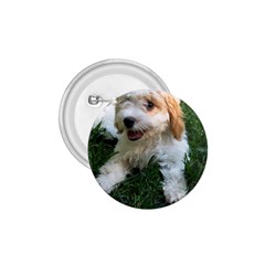 Cute Cavapoo Puppy 1 75  Buttons by trendistuff