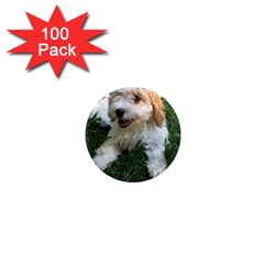 Cute Cavapoo Puppy 1  Mini Magnets (100 Pack)  by trendistuff