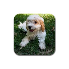 Cute Cavapoo Puppy Rubber Square Coaster (4 Pack)  by trendistuff