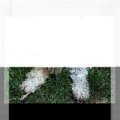 Cute Cavapoo Puppy Rectangular Jigsaw Puzzl by trendistuff