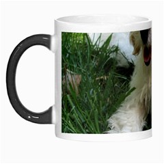 Cute Cavapoo Puppy Morph Mugs by trendistuff