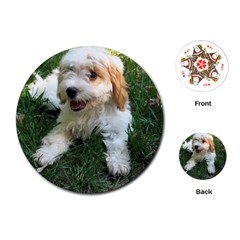 Cute Cavapoo Puppy Playing Cards (round)  by trendistuff