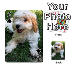 Cute Cavapoo Puppy Playing Cards 54 Designs  by trendistuff