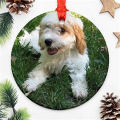 Cute Cavapoo Puppy Round Ornament (two Sides)  by trendistuff