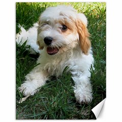 Cute Cavapoo Puppy Canvas 12  X 16  