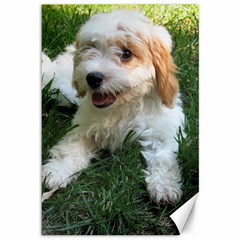 Cute Cavapoo Puppy Canvas 12  X 18   by trendistuff