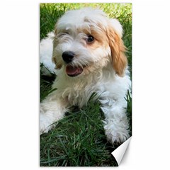 Cute Cavapoo Puppy Canvas 40  X 72  