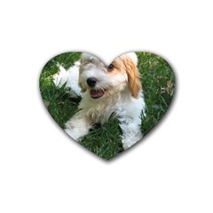 Cute Cavapoo Puppy Rubber Coaster (heart)  by trendistuff