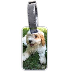 Cute Cavapoo Puppy Luggage Tags (one Side)  by trendistuff