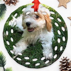 Cute Cavapoo Puppy Ornament (round Filigree)  by trendistuff