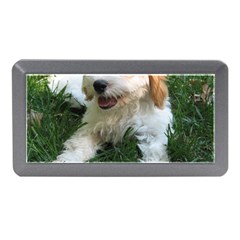 Cute Cavapoo Puppy Memory Card Reader (mini)