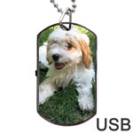 CUTE CAVAPOO PUPPY Dog Tag USB Flash (Two Sides)  Front