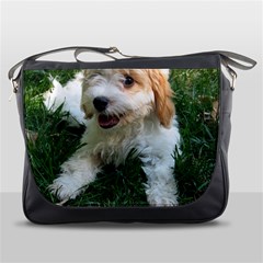 Cute Cavapoo Puppy Messenger Bags by trendistuff