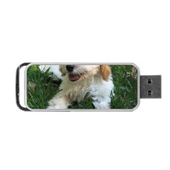 Cute Cavapoo Puppy Portable Usb Flash (two Sides)