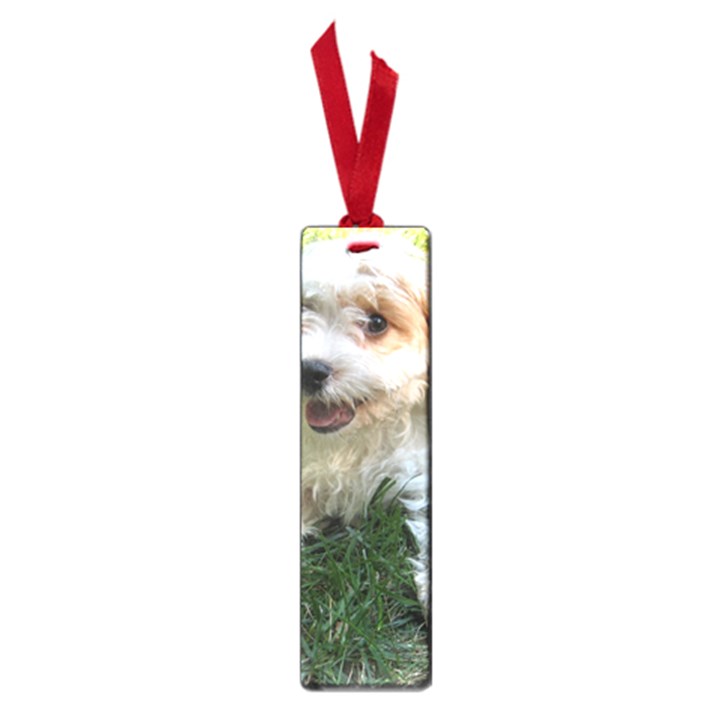 CUTE CAVAPOO PUPPY Small Book Marks