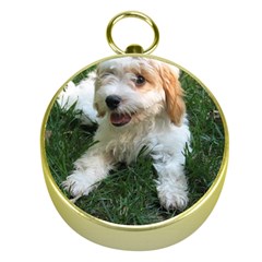 Cute Cavapoo Puppy Gold Compasses by trendistuff