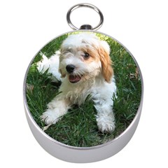 Cute Cavapoo Puppy Silver Compasses by trendistuff