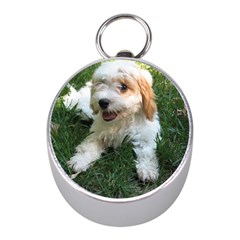 Cute Cavapoo Puppy Mini Silver Compasses by trendistuff