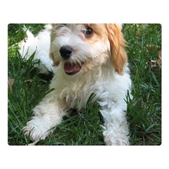 Cute Cavapoo Puppy Double Sided Flano Blanket (large) 