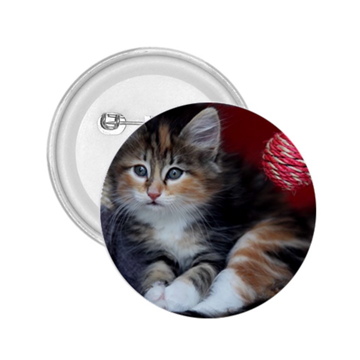 COMFY KITTY 2.25  Buttons