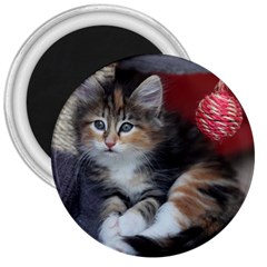 Comfy Kitty 3  Magnets by trendistuff