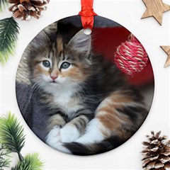 Comfy Kitty Ornament (round)  by trendistuff