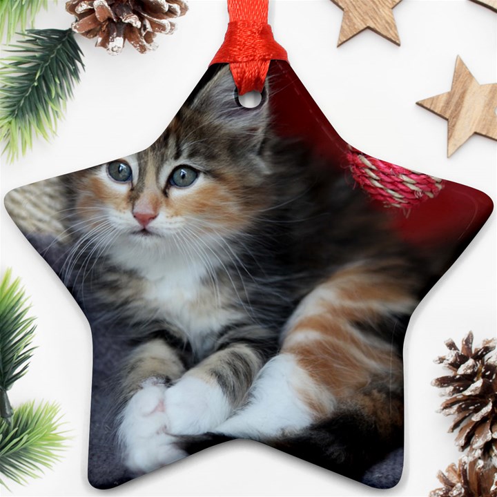 COMFY KITTY Ornament (Star) 