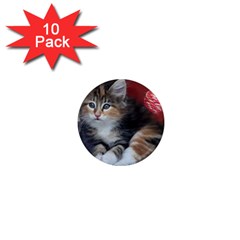 Comfy Kitty 1  Mini Magnet (10 Pack)  by trendistuff