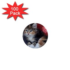 Comfy Kitty 1  Mini Magnets (100 Pack)  by trendistuff