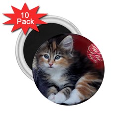 Comfy Kitty 2 25  Magnets (10 Pack)  by trendistuff