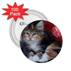 Comfy Kitty 2 25  Buttons (100 Pack)  by trendistuff