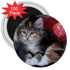 Comfy Kitty 3  Magnets (100 Pack) by trendistuff